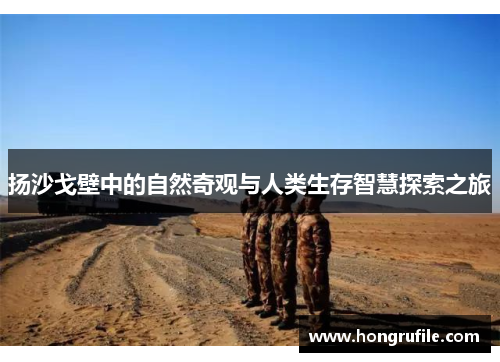 扬沙戈壁中的自然奇观与人类生存智慧探索之旅