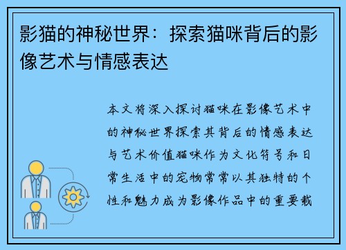 影猫的神秘世界：探索猫咪背后的影像艺术与情感表达